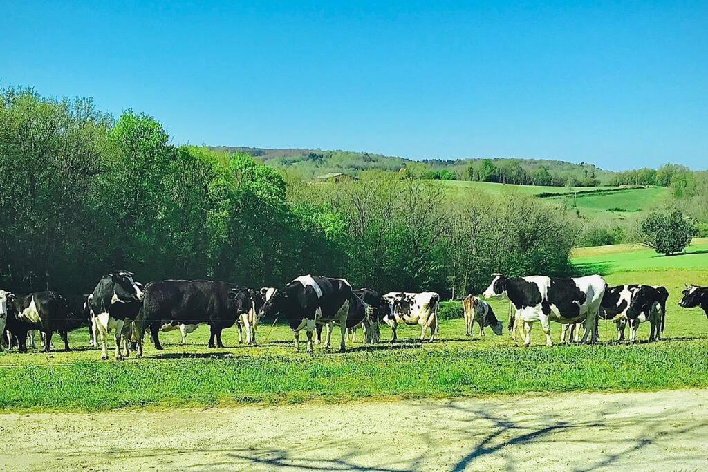 « Le Vieux Hangar » Gite A La Ferme Le Buisson-de-Cadouin Exteriér fotografie